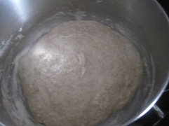 initial shaggy dough prior to autolyse step