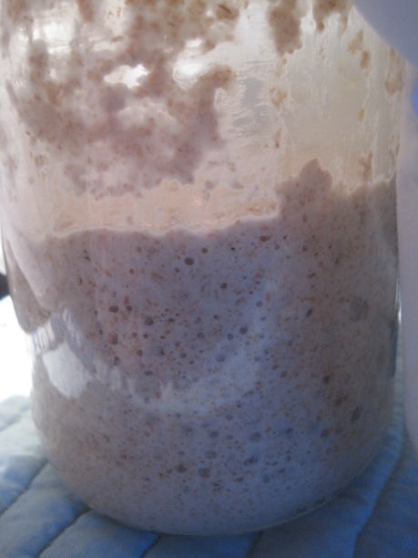 levain - am I the only one who loves seeing those bubbles? tiny yet so powerful - I love the wild yeast :)