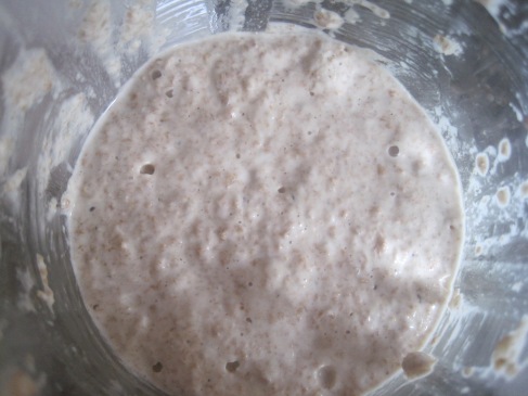 this is my sourdough culture that I created a year ago from water and whole wheat flour; it is love.