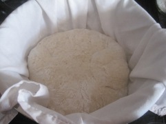 the small dough right before the start of the proving step