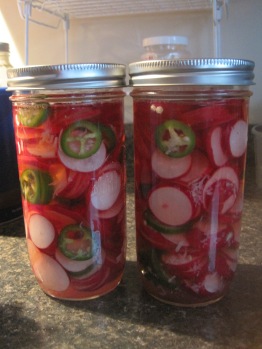 place in a jar and add the vinegar, water, sugar, and salt brine; secure the rings and enjoy in a week or so (or that is what others are saying; I would not be surprised that it will take longer only bcause my kitchen is not a warm one (around 17C)